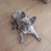 laceyfraser916 - @laceyfraser916 - TikTok