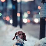 Ganso Lucia - Facebook