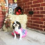 Lacey - @lacey_mae_gates - Instagram