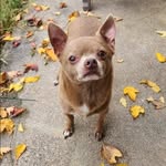 Lacey Hammers - @laceyhammers - Instagram