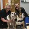 Lacey Hamrick - @lacey.hamrick - TikTok