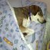 Lacey Harmon - Facebook