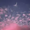 laceyharper25 - @laceyharper25 - TikTok