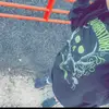 laceyharre - @lacey.harrell4 - TikTok