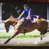 lacey Harrison - @laceyharrison2258 - TikTok