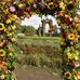 Lacey Hart - Facebook