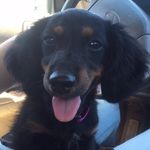 Lacey Waffles Hatfield - @lacey.waffles.hatfield - Instagram