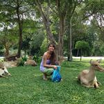 Lacey Hawk - @laceyhawk33 - Instagram
