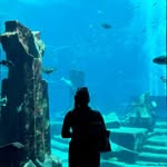 lacey - @lacey_hill_29 - Instagram