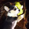 lacey hornkohl - @lacey.hornkohl - TikTok