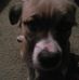 Lacey Hummel - Facebook