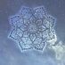 Lacey Judd - Facebook