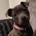 Lacey Kitchen - @kitchen.lacey - Instagram