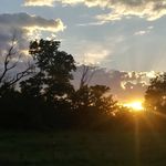 Lacey Link - @lacelink5555 - Instagram