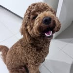 Lacey 💗 - @loopielaceylou - Instagram