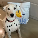 @laceyloopfruit - Instagram