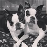 Lottie and Lacey 🇬🇧 - @lottie_and_lacey - Instagram