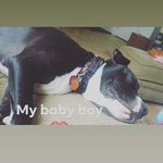 Lacey Lucas - @laceyfaith2007 - Instagram