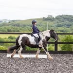 Lacey Mae - @lacey_mae_equestrian - Instagram