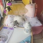 Lacey Major - @lush_life_of_lacey - Instagram