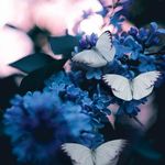 Lacey Malcom - @rri1618 - Instagram