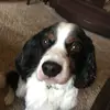 laceymanning47 - @laceymanning47 - TikTok