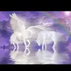 unicorn queen - @laceymanning1 - TikTok