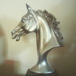 lacey marshall - @_lace__equestrian_ - Instagram