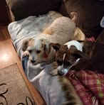 Lisa Matlock - Facebook