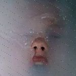 Lacey Mayer - @jolinabogner402 - Instagram