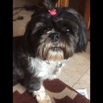 @lacey_may_levert - Instagram