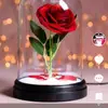 Lacey Mcclure - @laceymcclure_7760 - TikTok