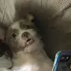 laceymcclure - @laceymcclure1857 - TikTok