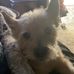 Lacey Meyerhoff - Facebook