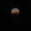 Lacey_mills1128 - @lacey_mills1128 - TikTok