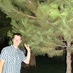 lacey mueller - @mueller3915dx - Instagram