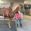 Lacey Sparks Mueller - @lacey.sparks.muel - TikTok