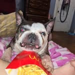 Lacey Norris - @l.no85 - Instagram