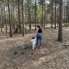 Lacey Oneill - @lacey.oneill - TikTok