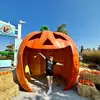 Lacey Payton - @lookitslace - TikTok