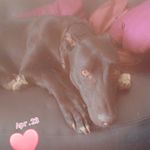 Lacey ⚽️ - @lacey_._porter_1068_ - Instagram