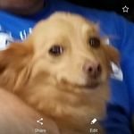 Lacey Bone-dog Rootes - @laceyrootes - Instagram