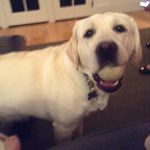 Lacey_Schneider - @lacey_schneider - Instagram