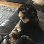 Lacey - @laceyyschwartz - Instagram