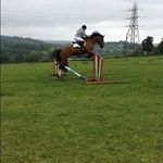 Shannon Lacey - @shannonlacey55 - Instagram