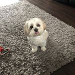 Lacey sharpe - @wee_lacey_sharpe - Instagram