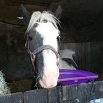 Lacey Simpson fishburn - @laceysimpsonfishburn5 - Instagram
