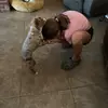 laceysnowflakeputuna - @laceysnowflakeput - TikTok