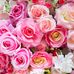 Sperry Louise - Facebook