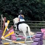Lacey Squires - @squires_lacey - Instagram